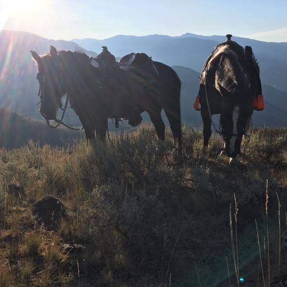 Meet your Posher, Joseph - Picture 1 of 1